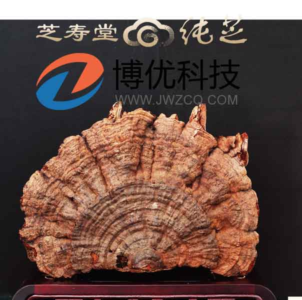 重慶洋世達實業(yè)(集團)有限公司旗下北京芝壽堂健康管理有限公司委托我司網站。正是看中我司強大的技術團隊和多年的建站經驗。